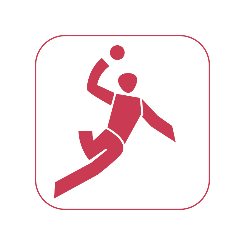 icon handball rot auf weiss 50mm rgb 300dpi